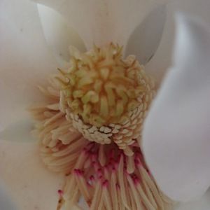 Meet your Posher, Jami